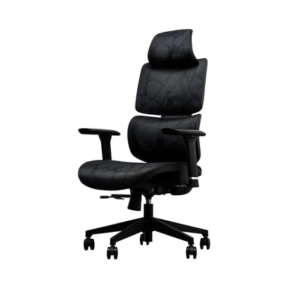 EVIS ErgoX Ergonomic Office Chair