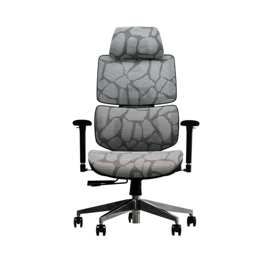 EVIS ErgoX Ergonomic Office Chair