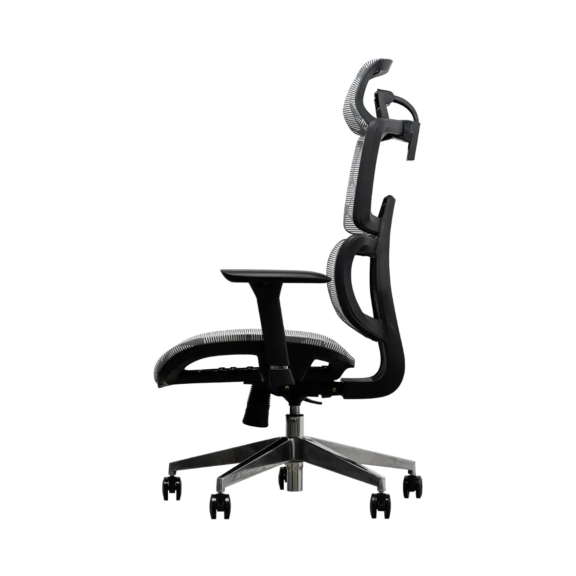 EVIS ErgoX Ergonomic Office Chair