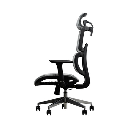 EVIS ErgoX Ergonomic Office Chair